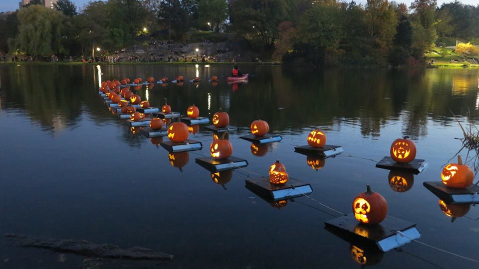 pumpkin flotilla
