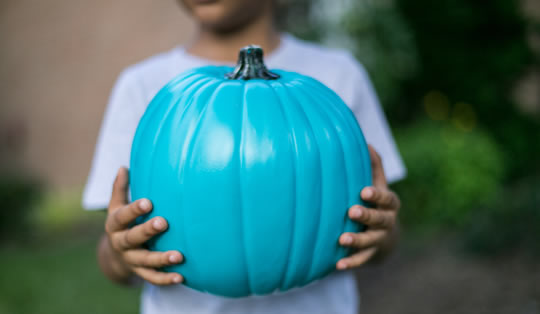 Teal Pumpkins