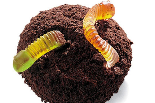 Dirt and Worms Cupcakes