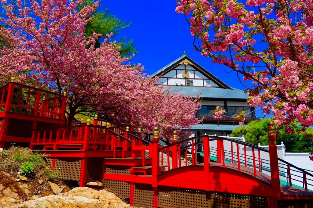 The Iconic Mt. Fuji Restaurant Just Got a Dreamy New Lounge NJ Family