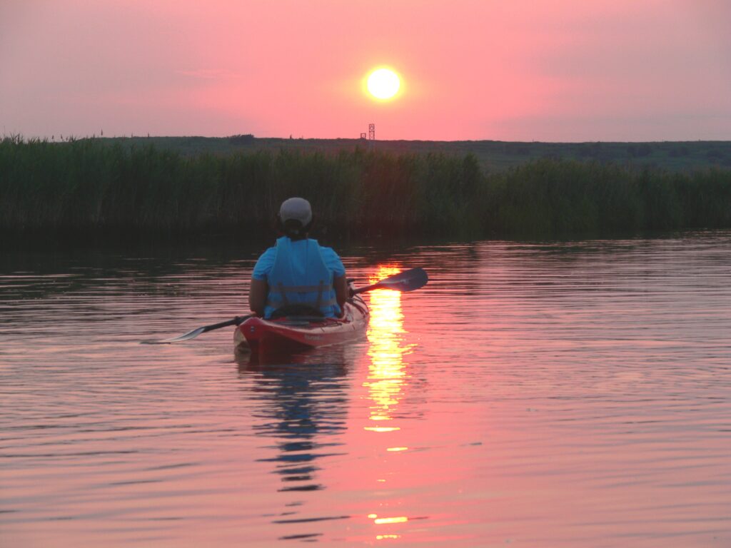 Arboretum Explorers Meadowlands Sunset Kayak Tour NJ Family