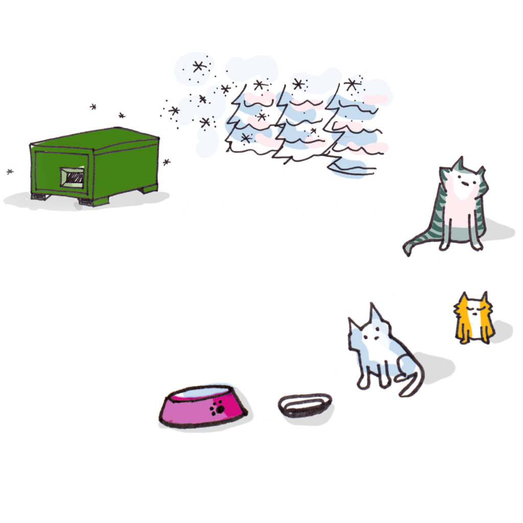 Learn How to Build Your Own Outdoor Cat Shelter NJ Family