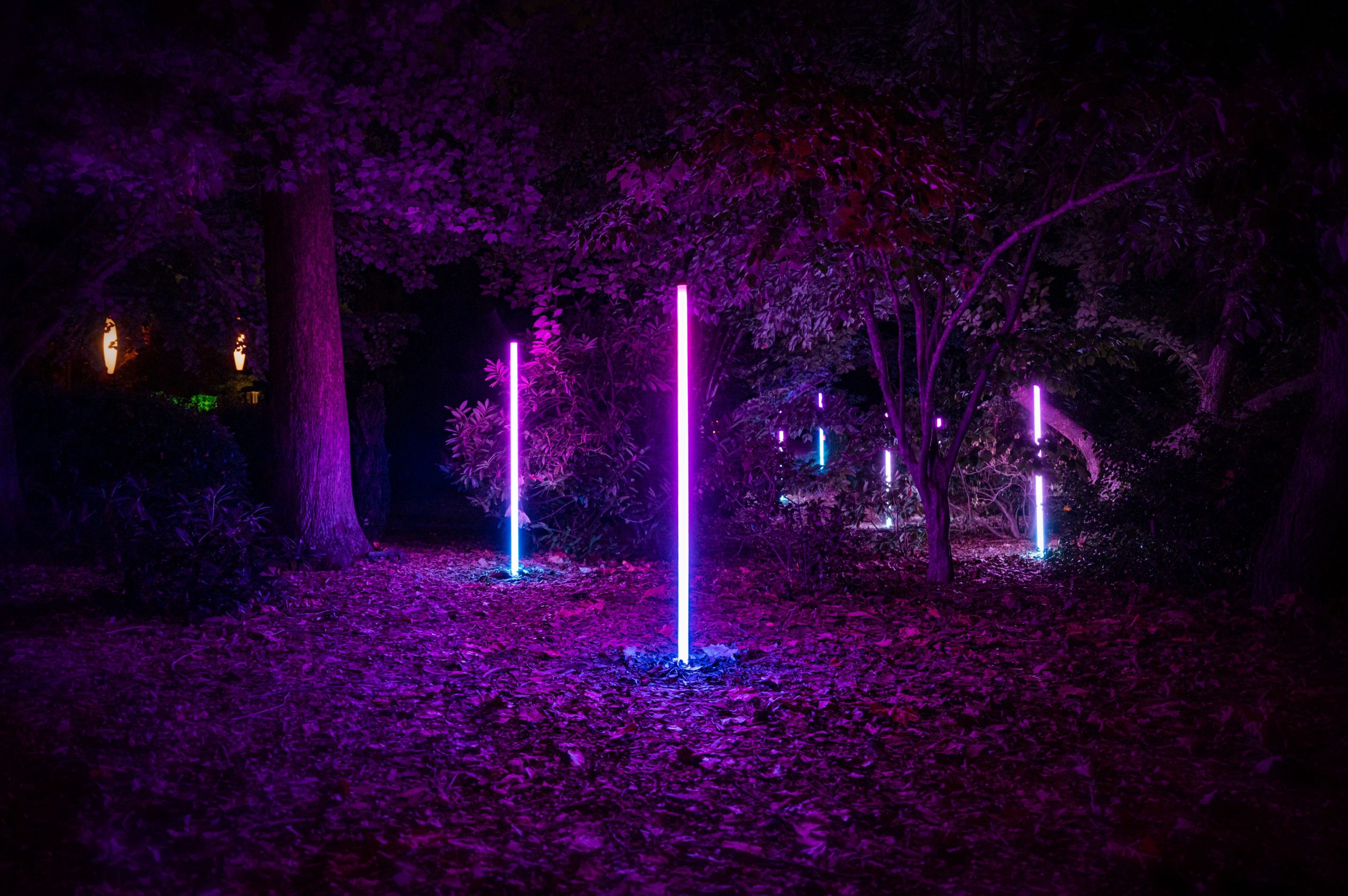 New MustSee Exhibit at Grounds for Sculpture Lights Up the Night NJ