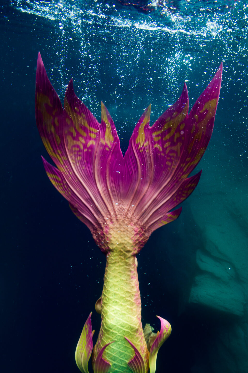 Mermaids Are Coming to NJ's Adventure Aquarium NJ Family