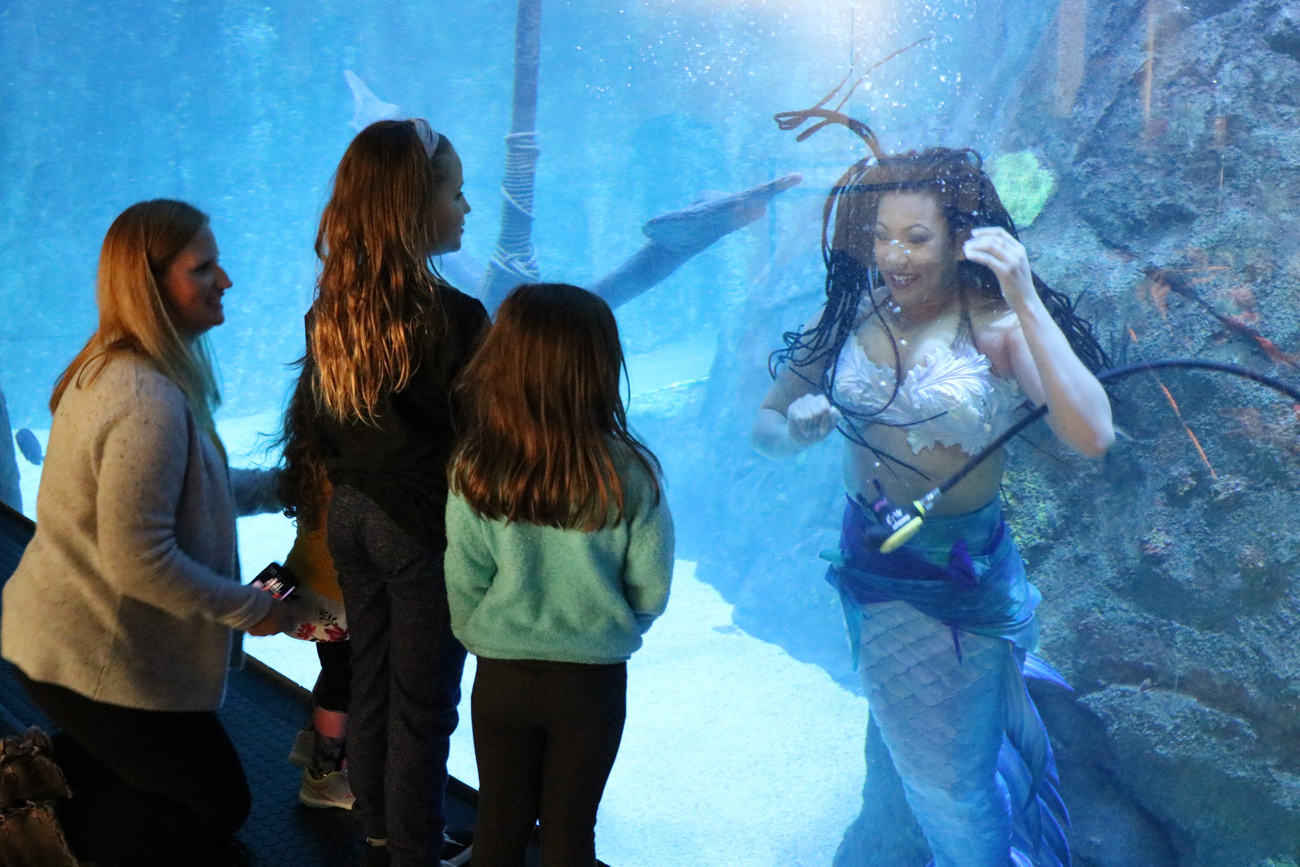 Mermaids Are Coming to NJ's Adventure Aquarium NJ Family