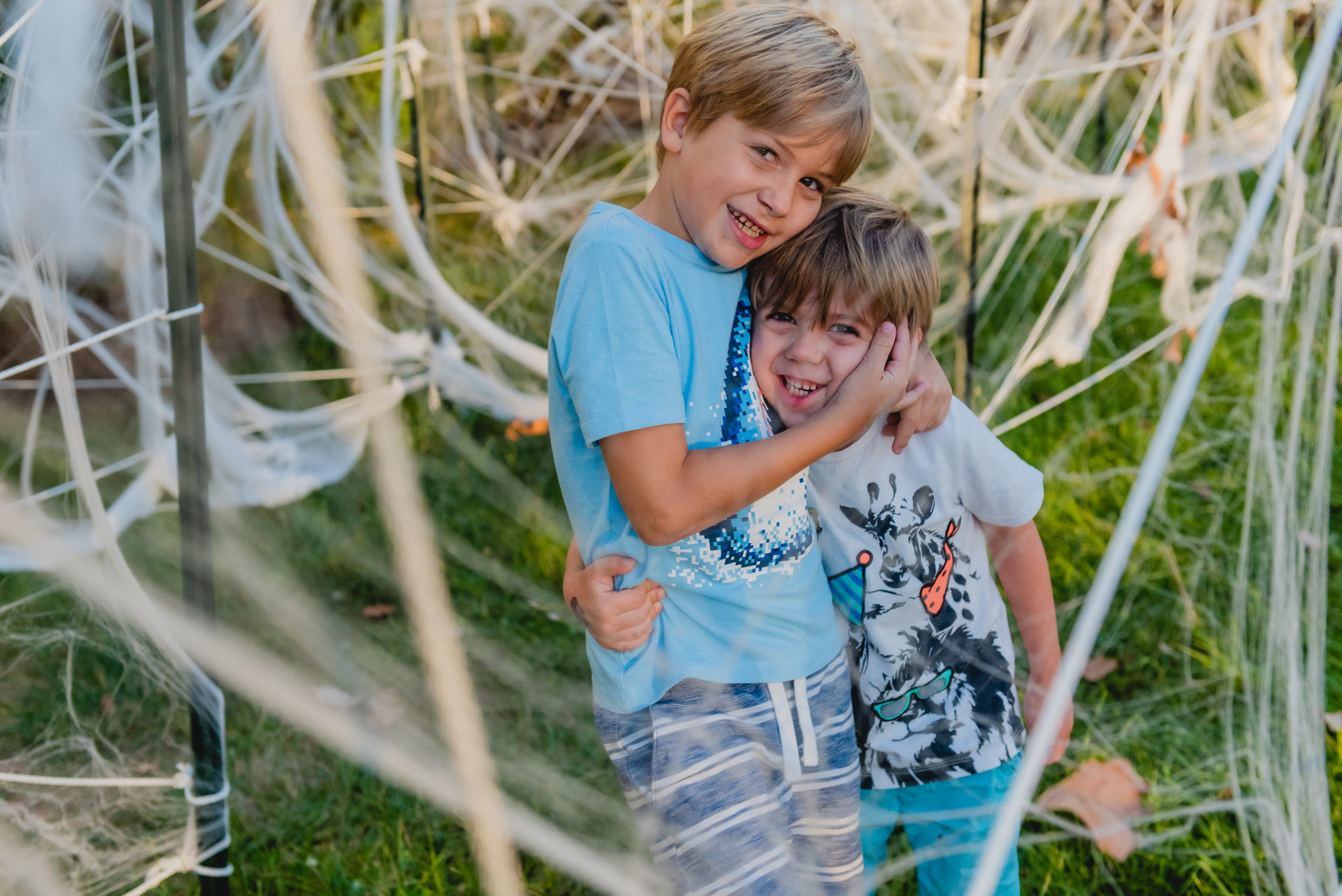 Von Thun's Country Farm Market in South Brunswick reveals 'Marvelous  Superhero' maze theme