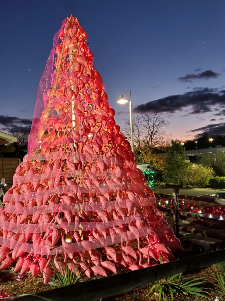 The Ultimate Guide to Holiday Lights in NJ NJ Family