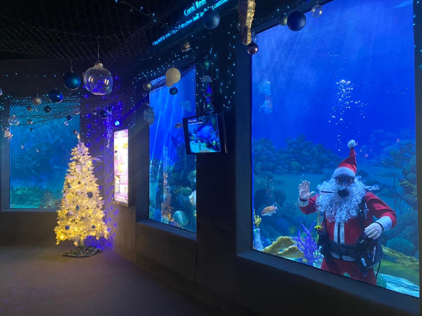 Sea of Lights Holiday Lights Spectacular NJ Family