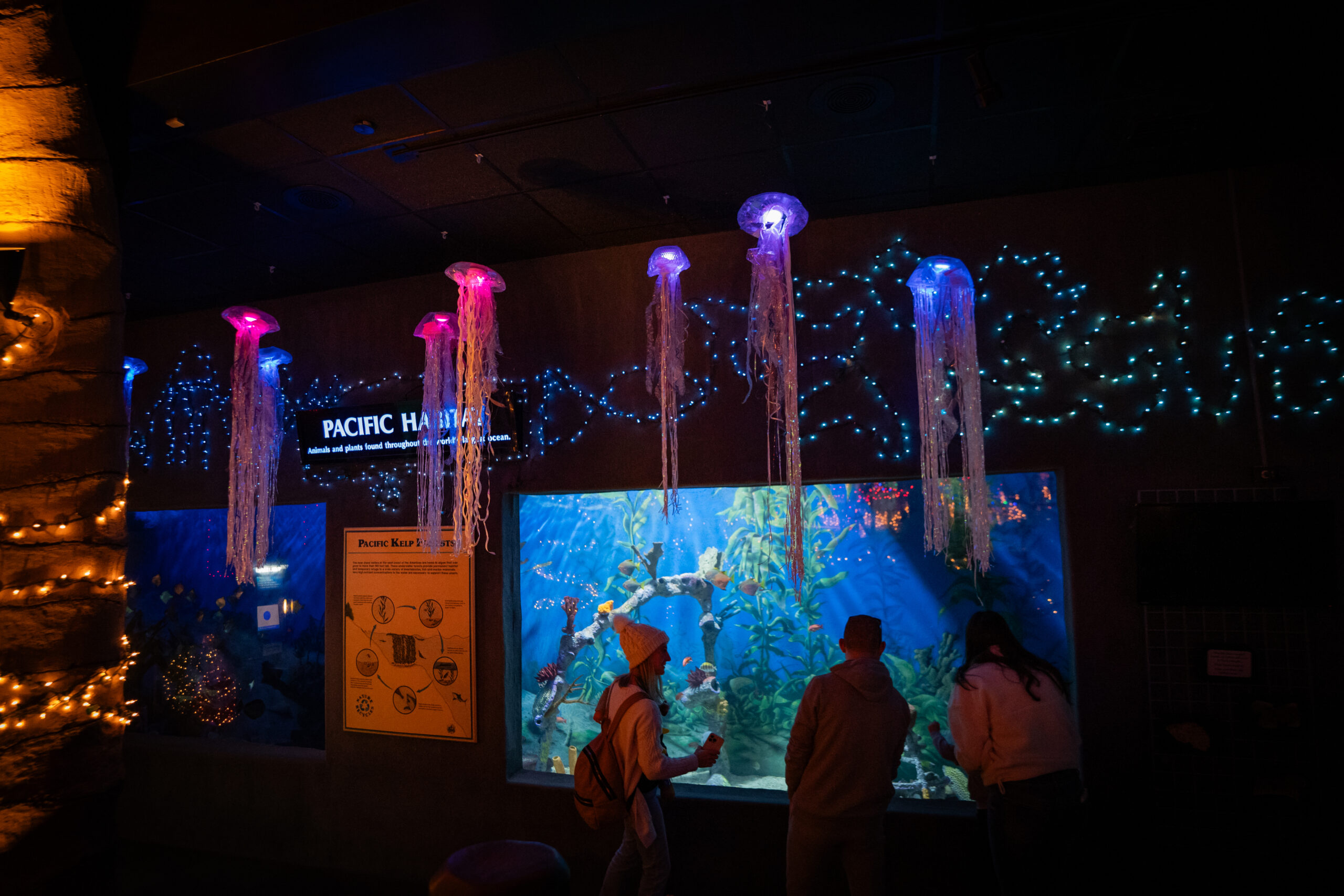 Sea of Lights Holiday Lights Spectacular NJ Family