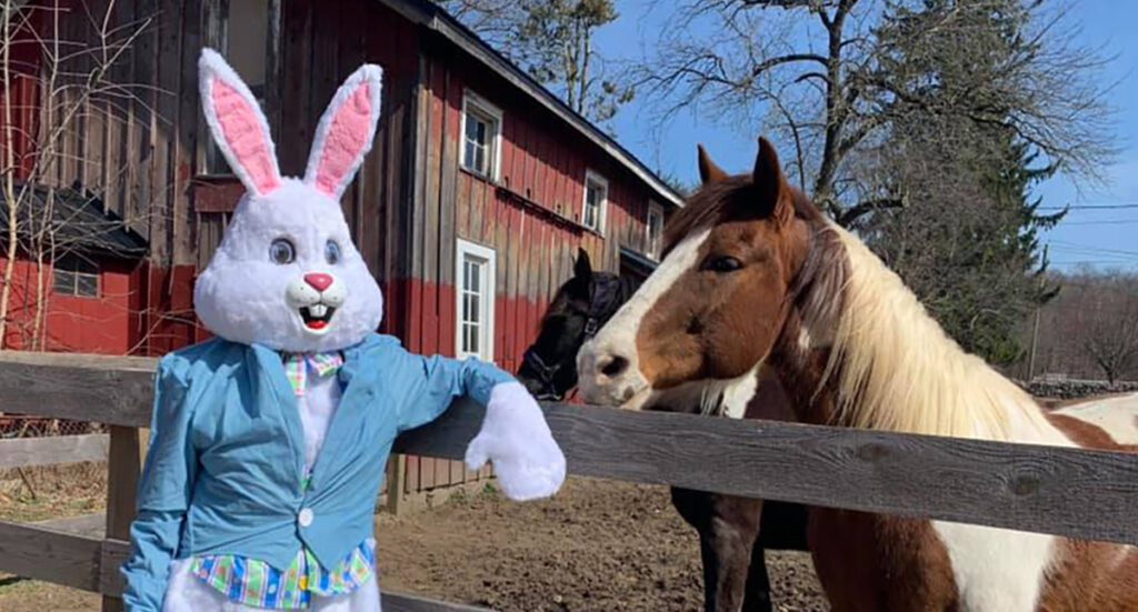 Easter Bunny Photos in NJ NJ Family