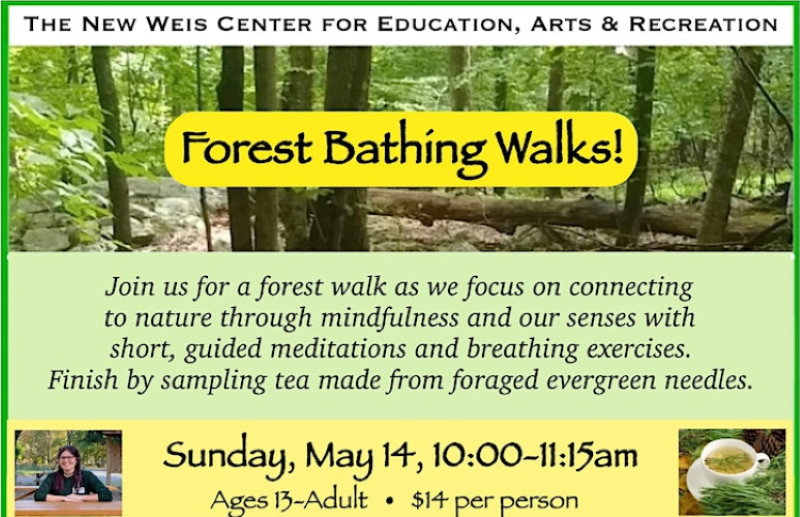 Forest Bathing - NJ Family