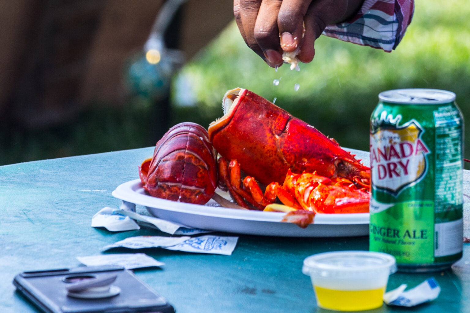 Seafood Lovers Delight These Food Festivals in NJ Cater to Dishes From the Sea NJ Family
