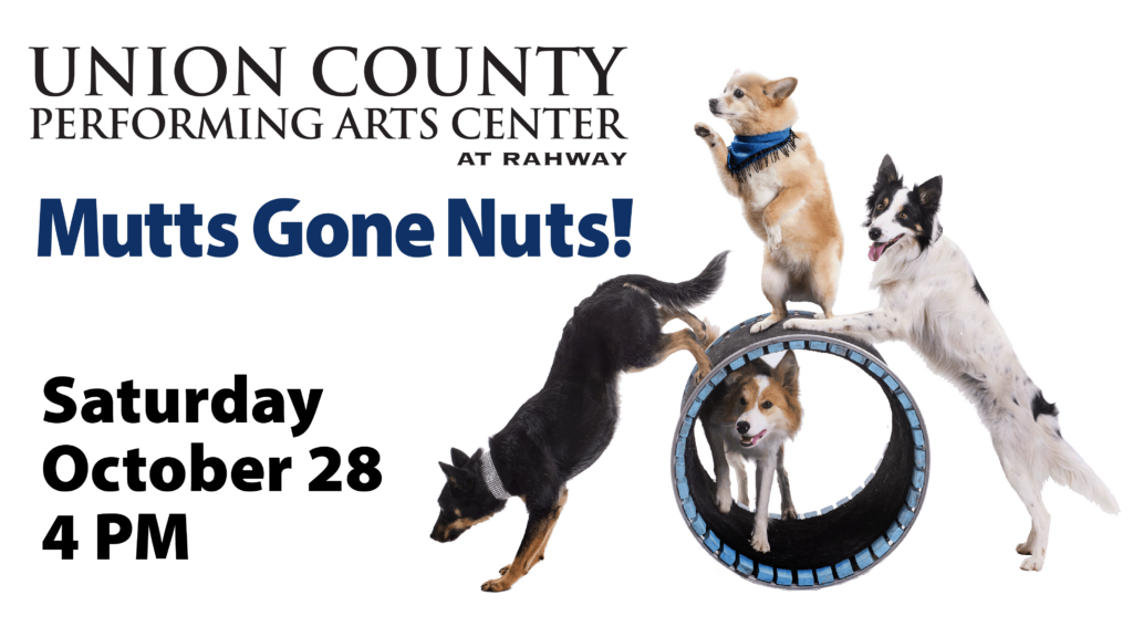 Mutts Gone Nuts! NJ Family