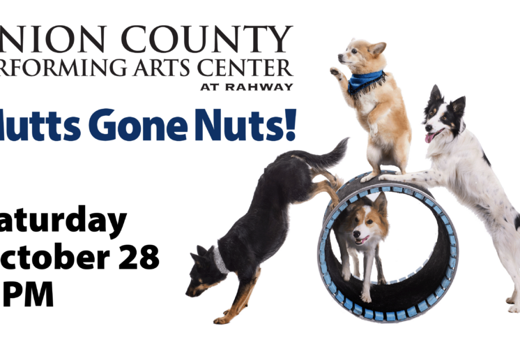 Mutts Gone Nuts! NJ Family