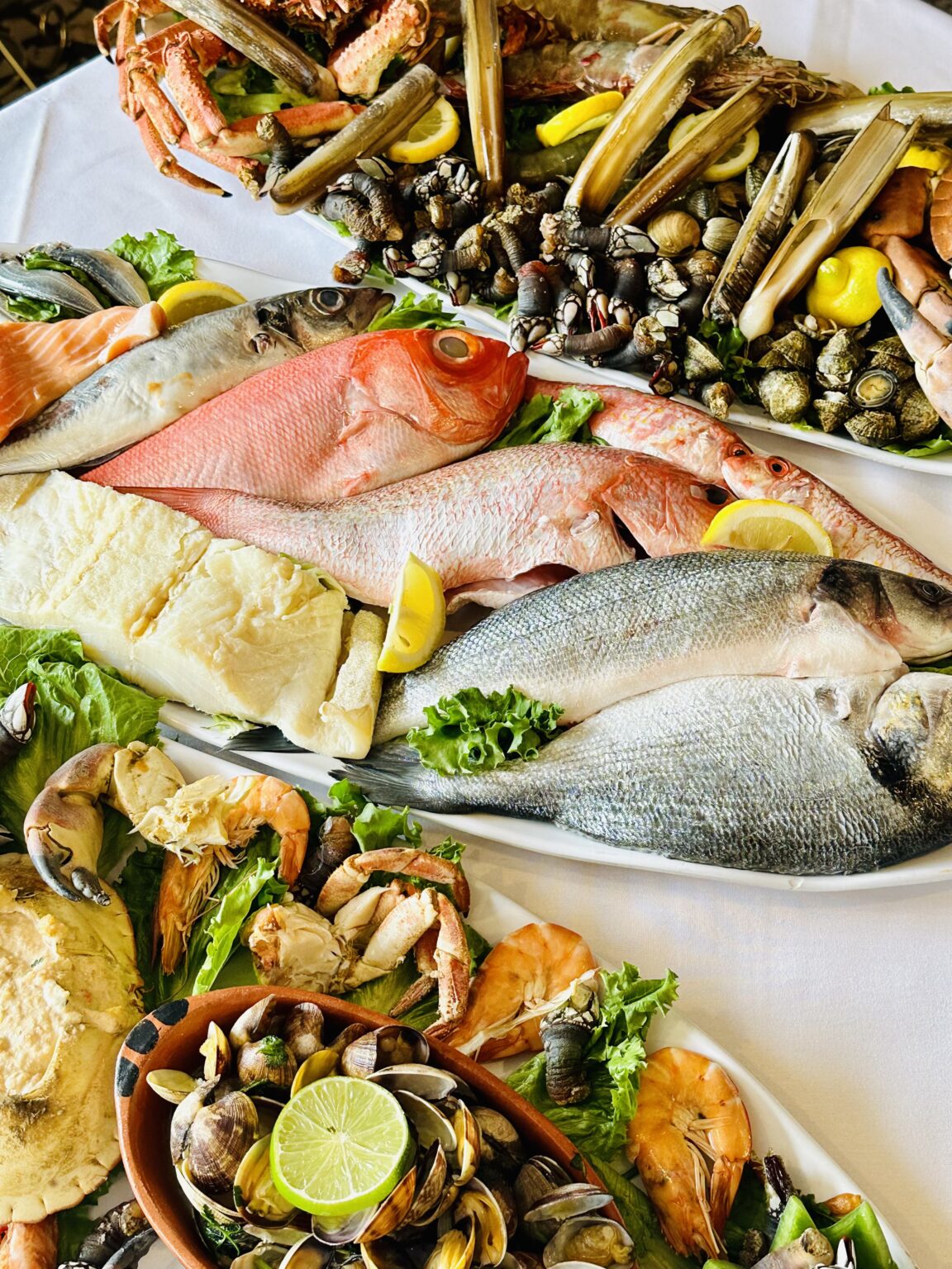 Things to Do In and Around New Jersey September 2729 NJ Family