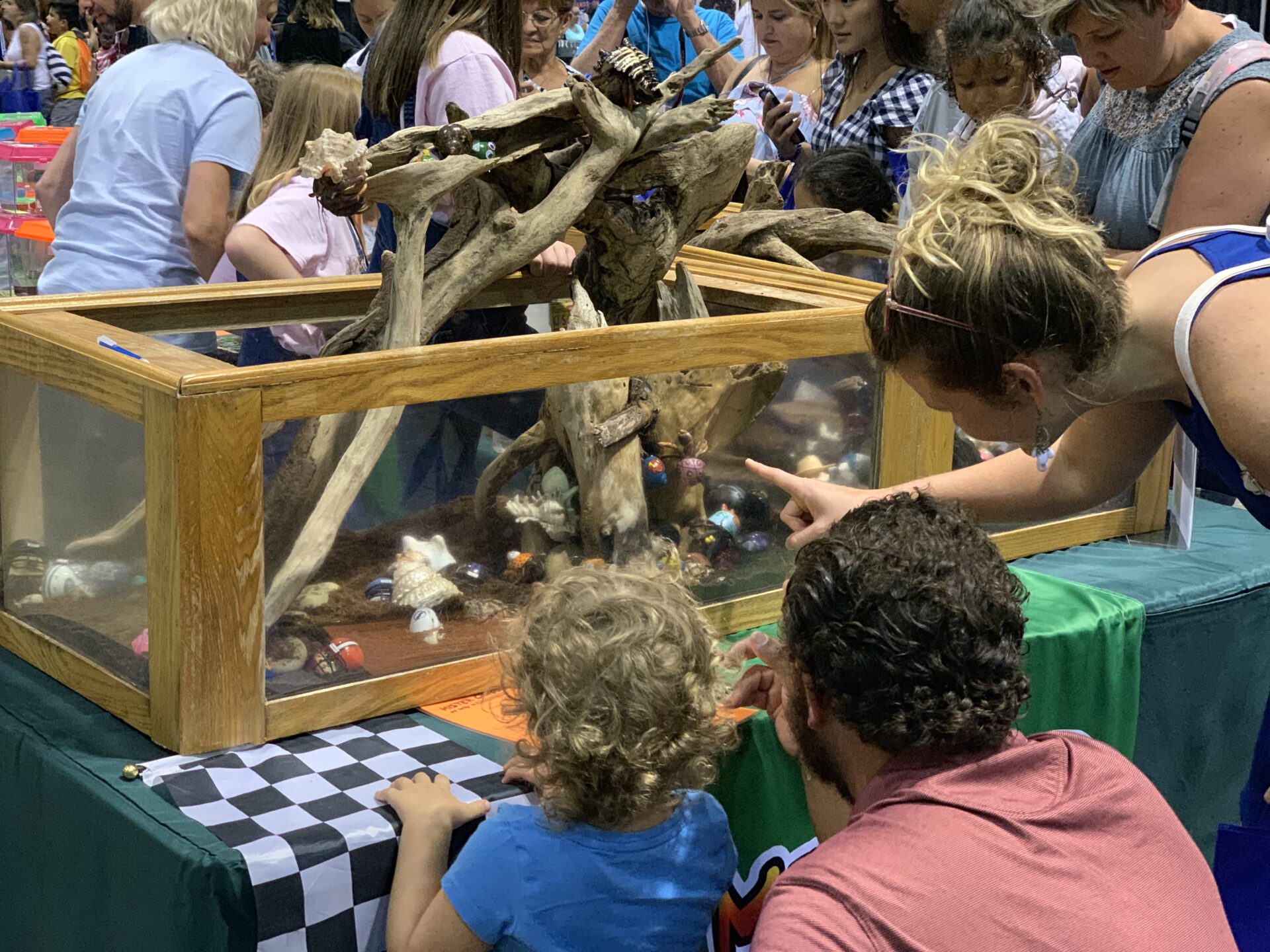 See Some Seriously Sweet Animals At The Super Pet Expo In Edison NJ see-some-seriously-sweet-animals-at-the-super-pet-expo-in-edison-nj