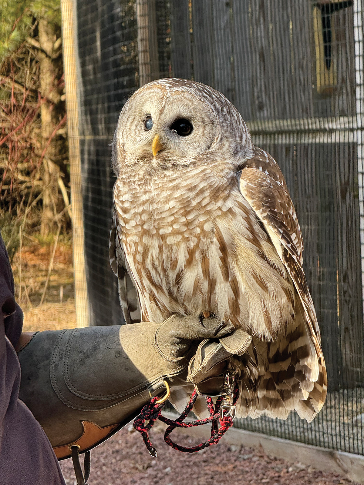 DOOR COUNTY WISCONSIN