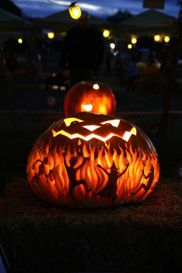 Things to Do This Weekend In and Around New Jersey October 1114 NJ