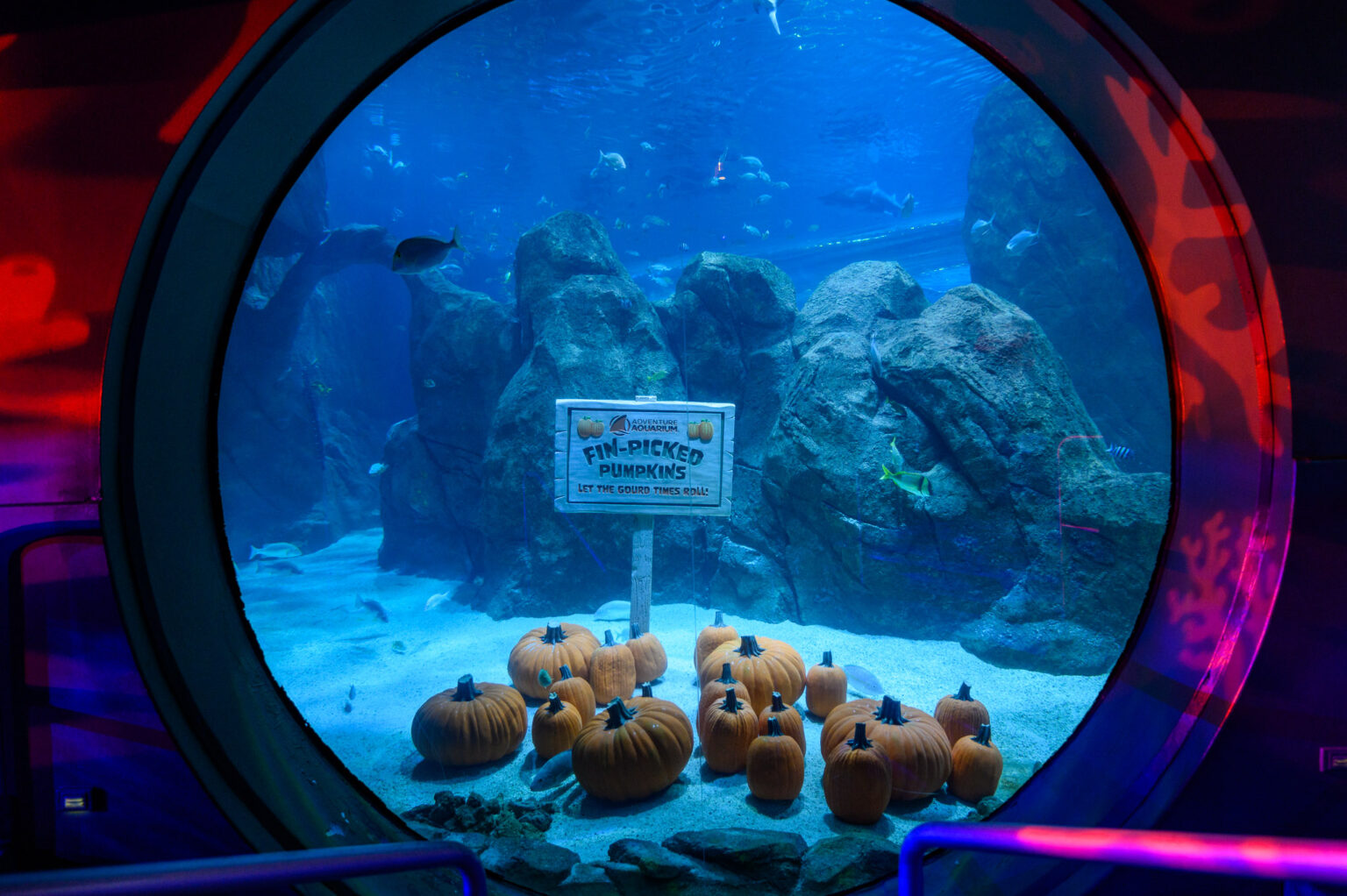 This Fall Festival in New Jersey Takes Place on Land and Under Water