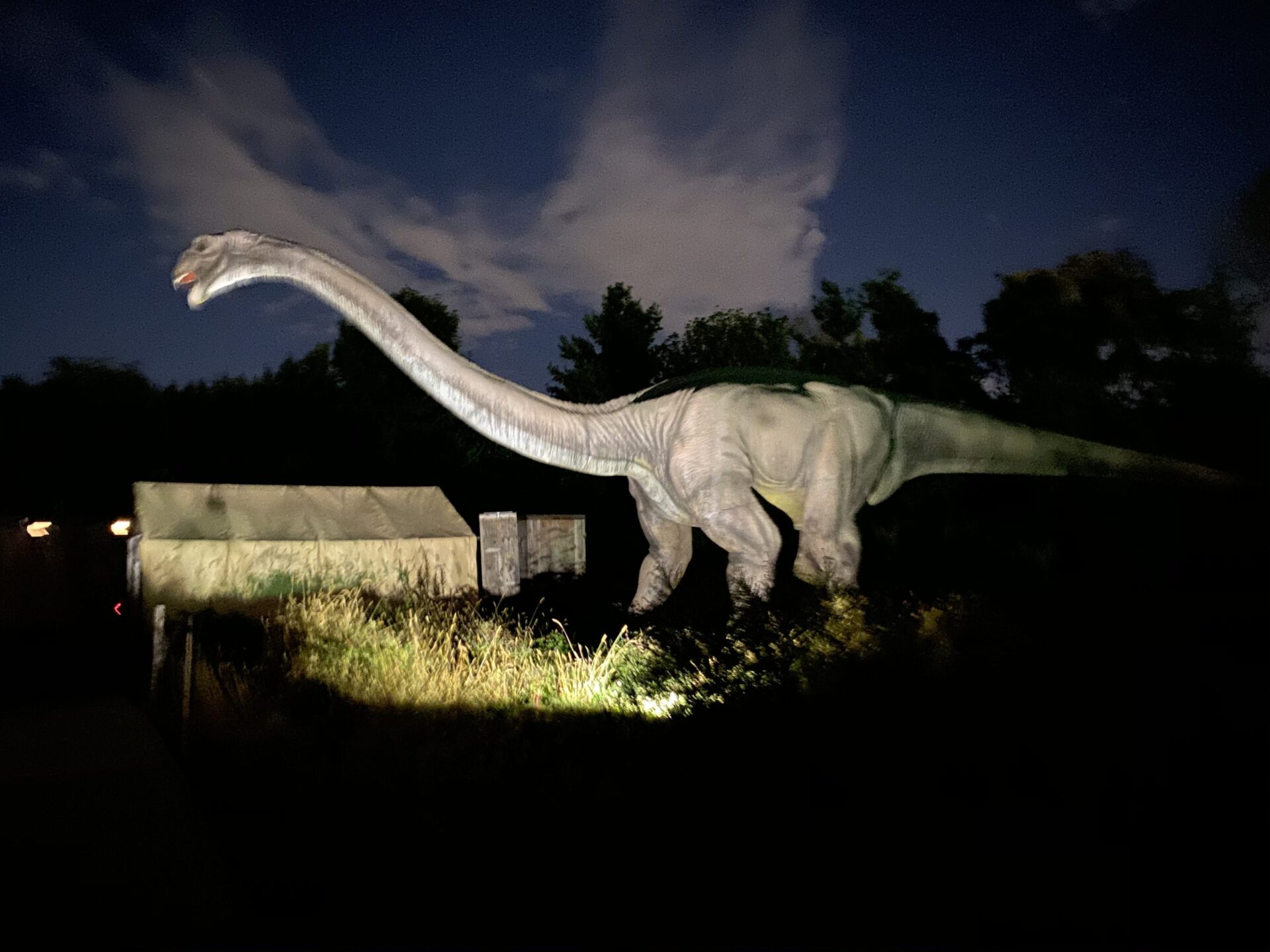 You Can Actually Buy a Life-Sized Dinosaur in New Jersey (Yes, Really ...