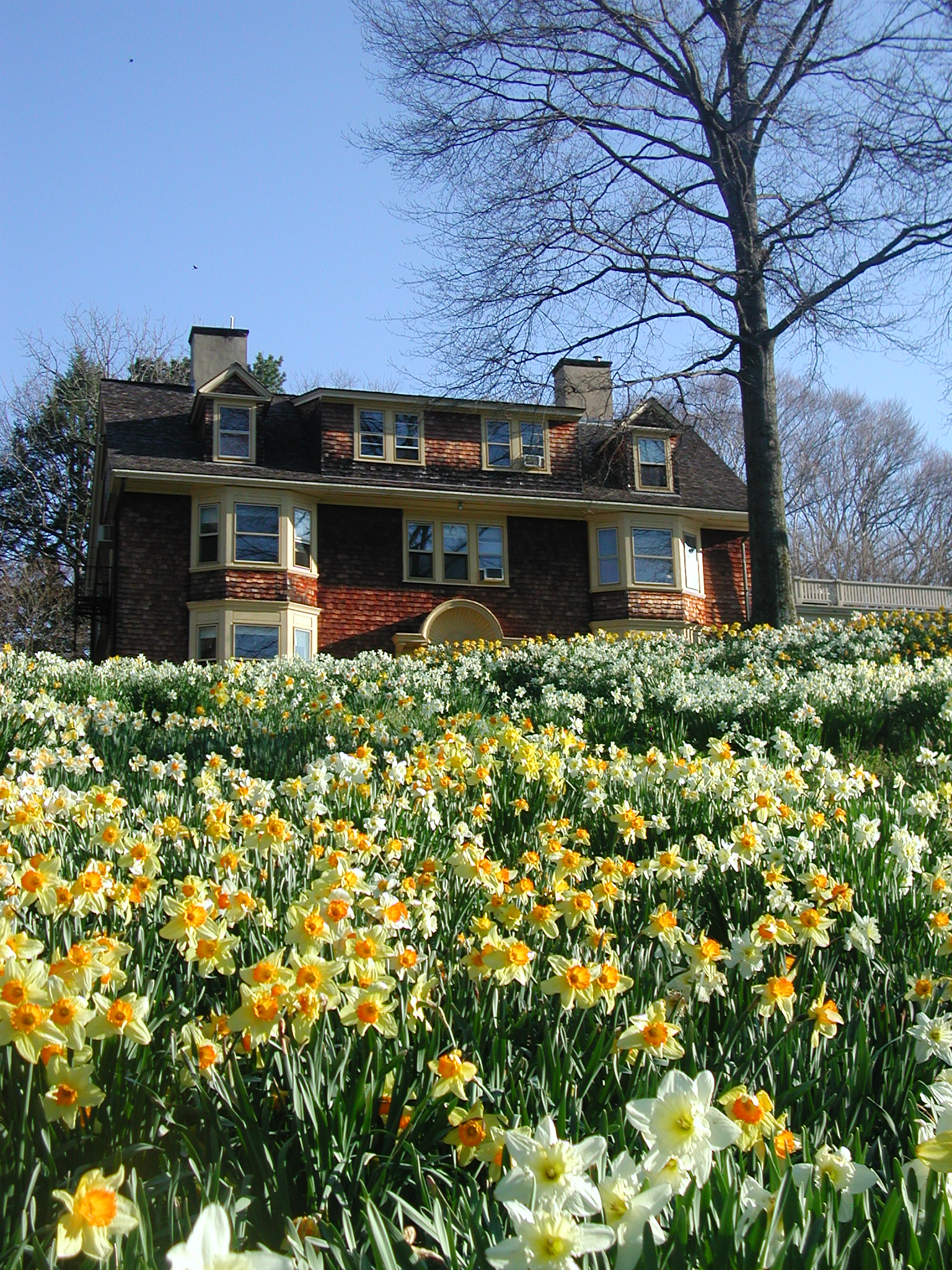 Reeves-Reed Arboretum in Summit, NJ