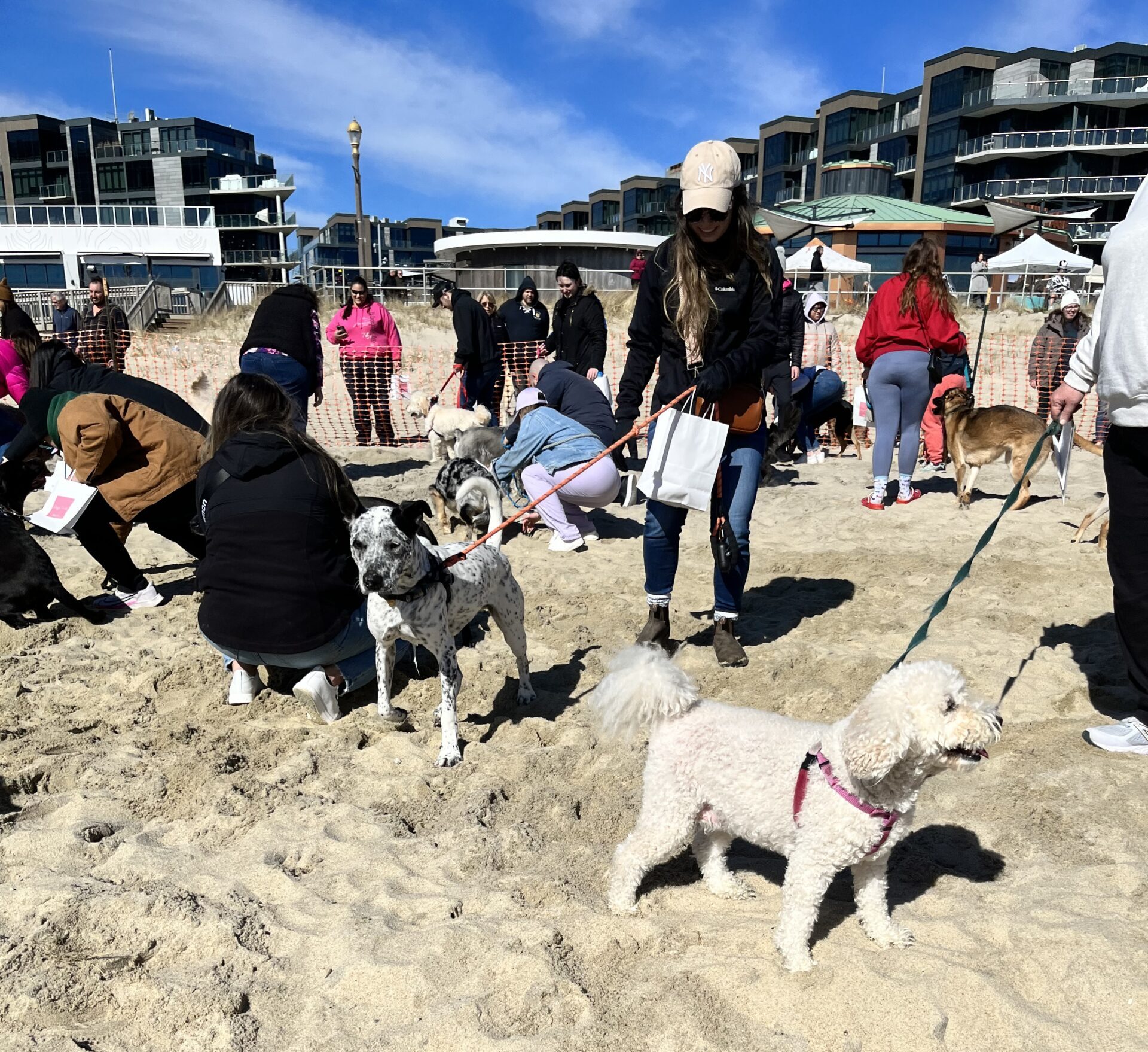 Doggie Sweets, located in Pier Village in Long Branch, holds a doggie Easter egg hunt on the beach every year.