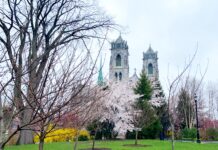 Cherry blossom trees at Essex County Branch Brook Park in Newark and Belleville