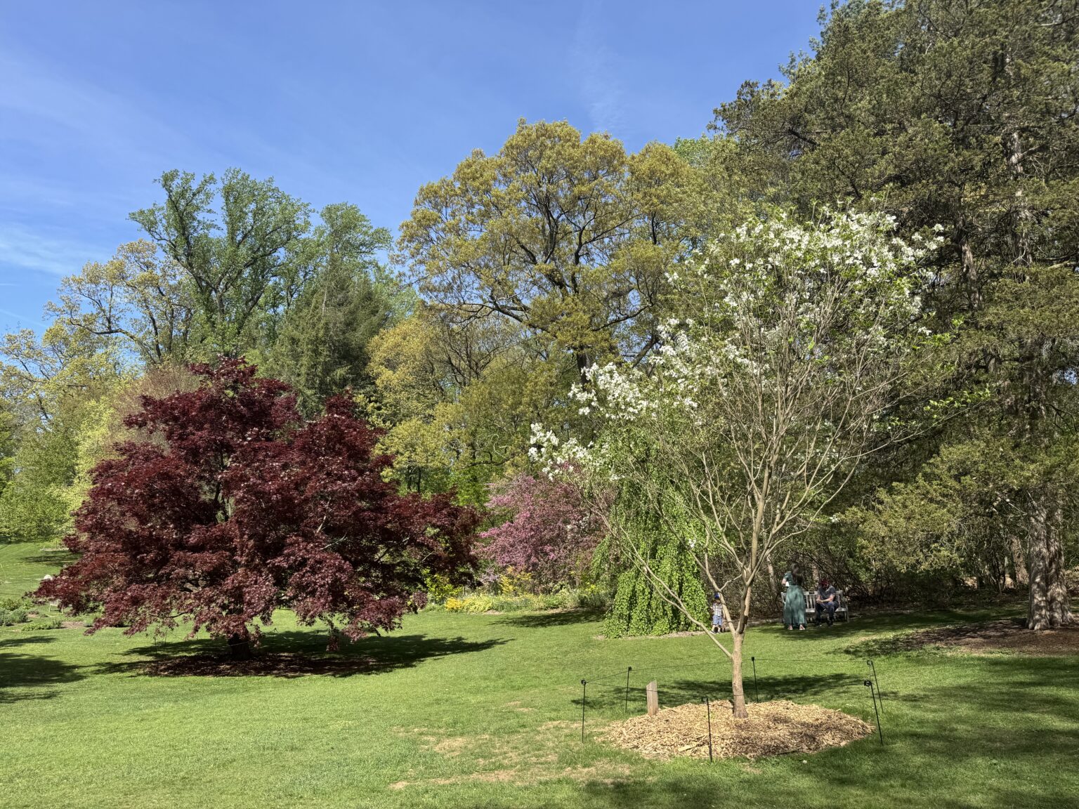 Reeves-Reed Arboretum in Summit Is a Peaceful Escape into Nature - NJ ...