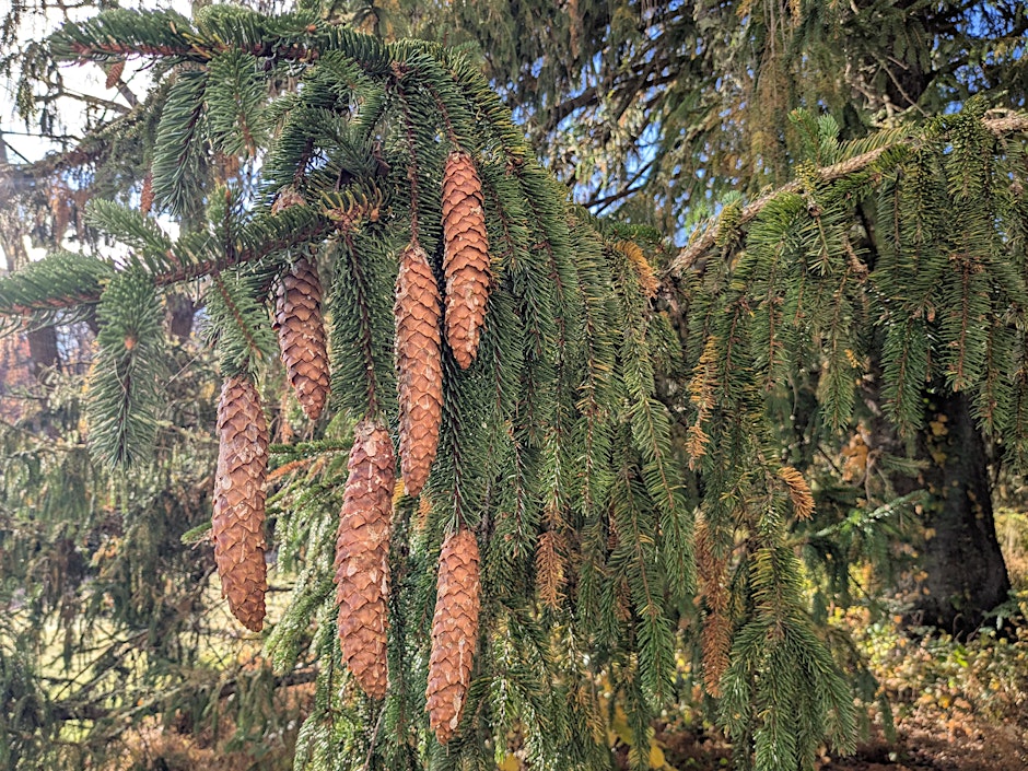 https___cdn.evbuc.com_images_1162356003_25002663027_1_original