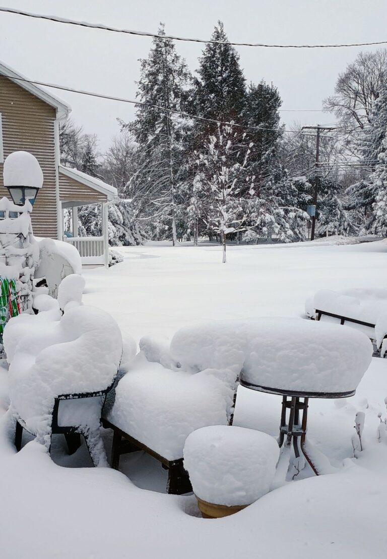 See Photos of the Historic 2026 Blizzard That Buried New Jersey - NJ Family