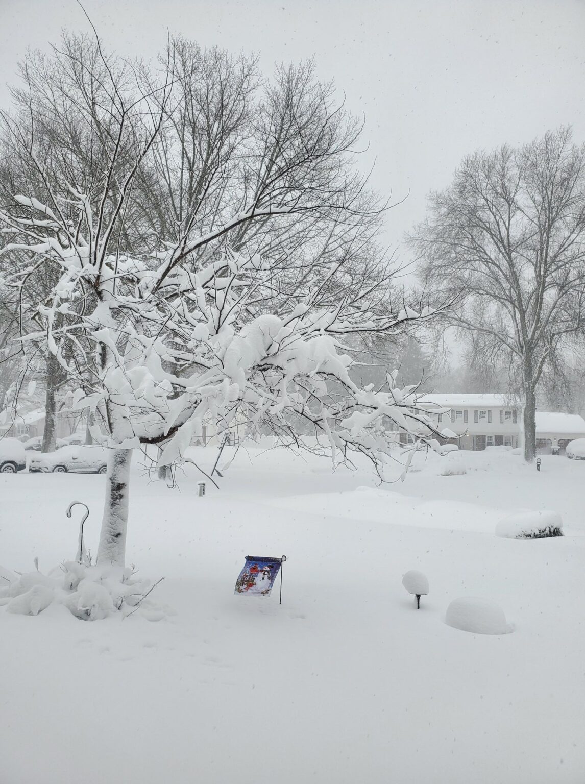 See Photos of the Historic 2026 Blizzard That Buried New Jersey - NJ Family