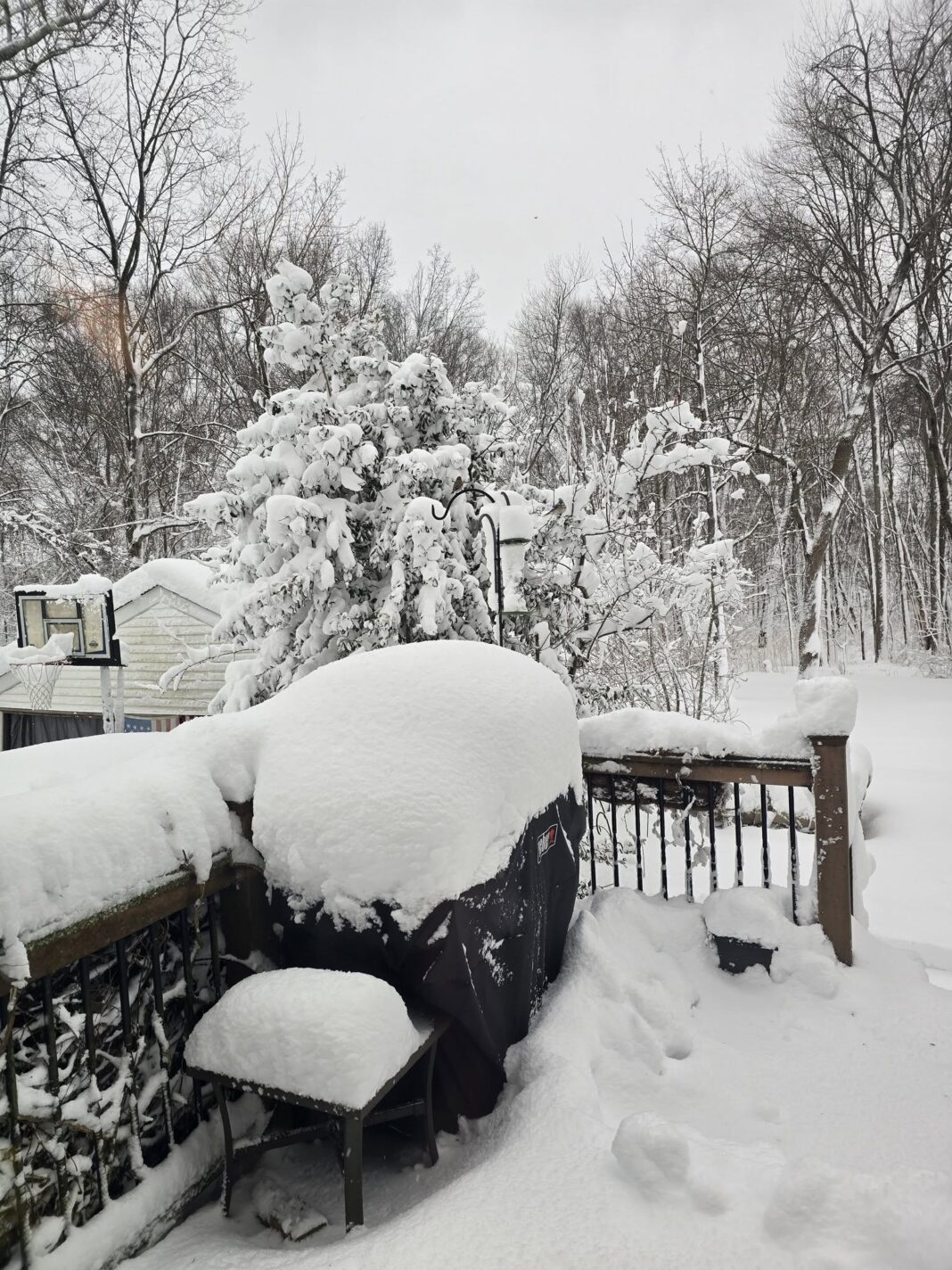See Photos of the Historic 2026 Blizzard That Buried New Jersey - NJ Family