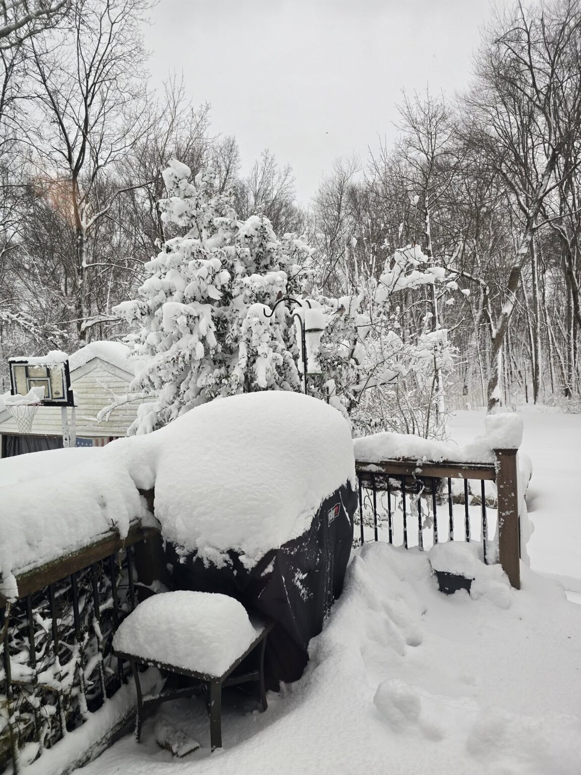 See Photos of the Historic 2026 Blizzard That Buried New Jersey - NJ Family