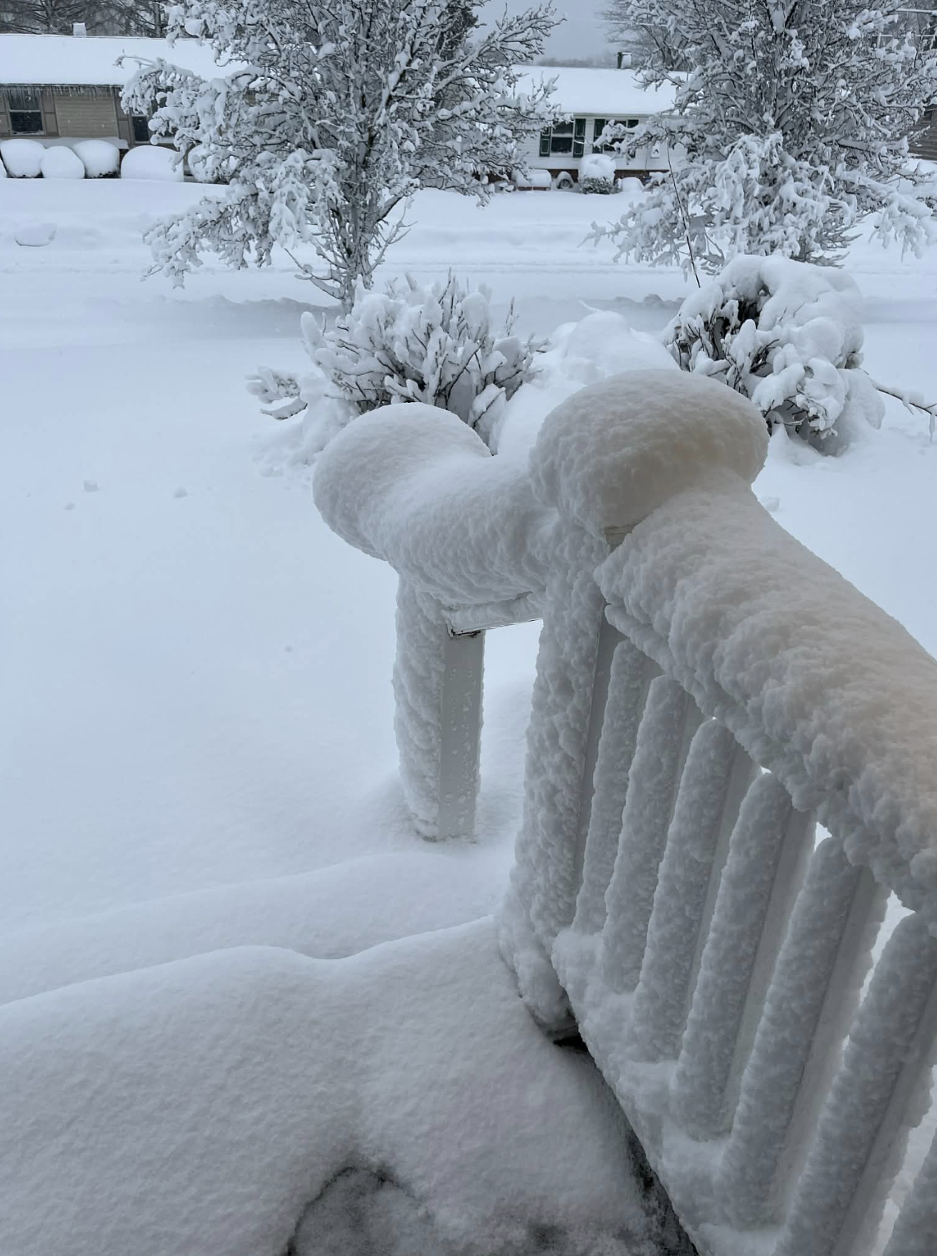 See Photos of the Historic 2026 Blizzard That Buried New Jersey - NJ Family