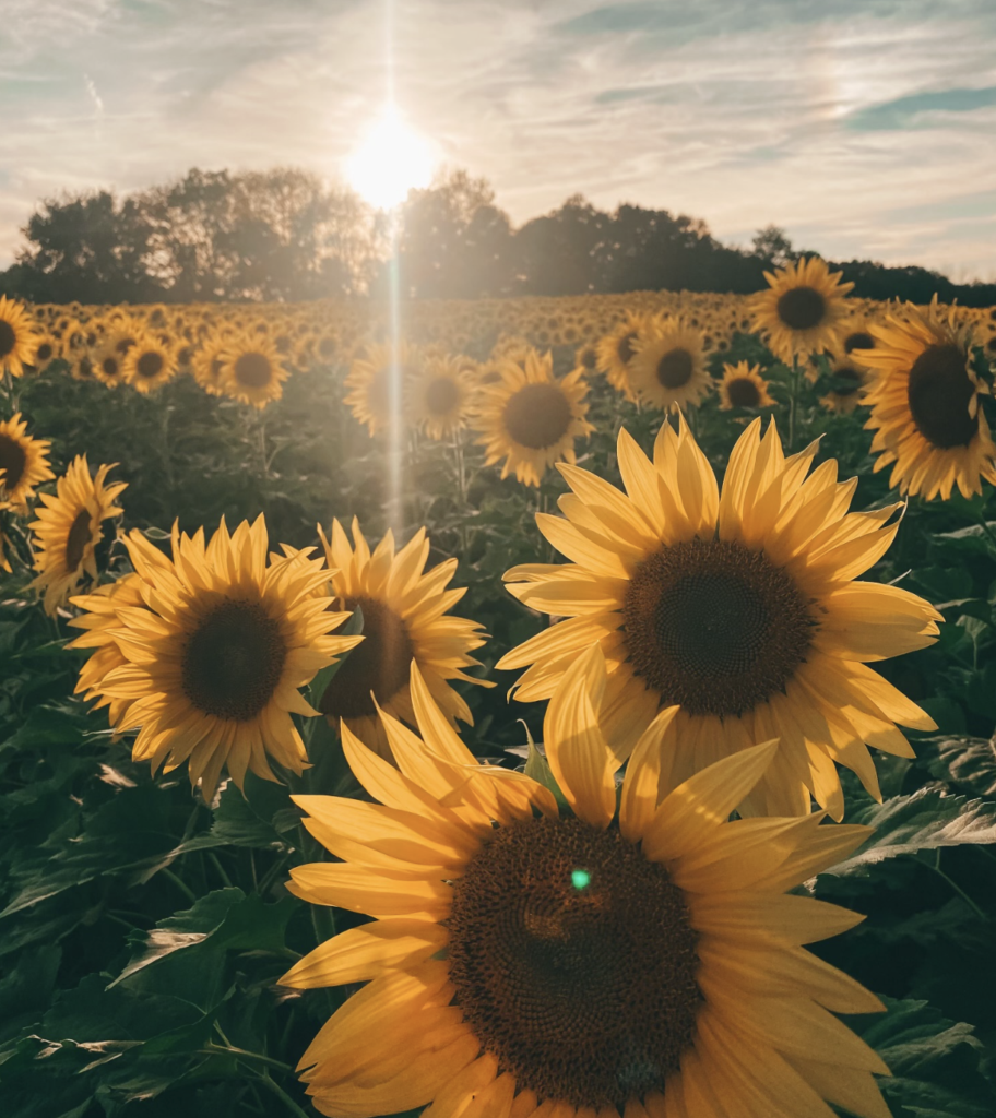 10 Best Things to Do in New Jersey This Weekend With Kids, September 25-27